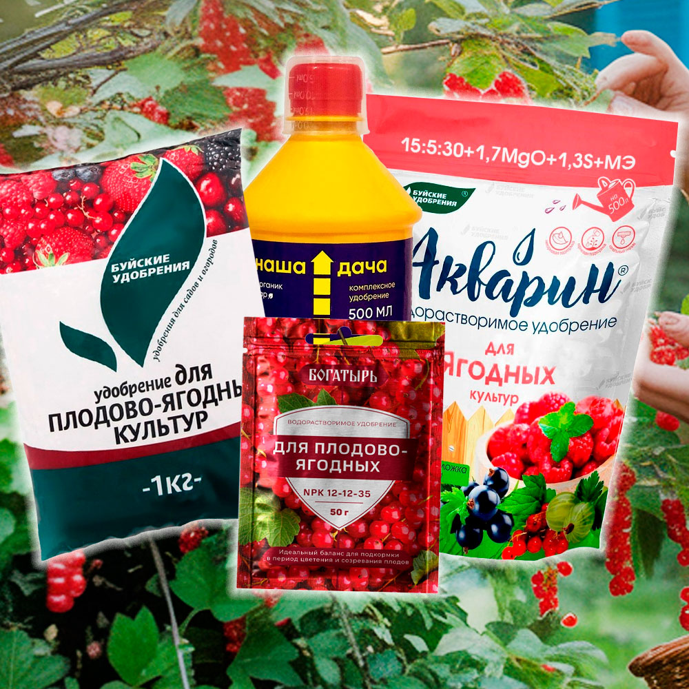 Подкормка удобрений летом
